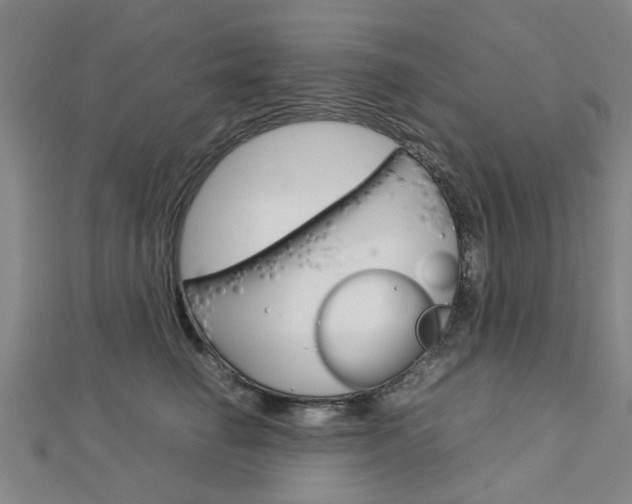 X0000112730662200908201014