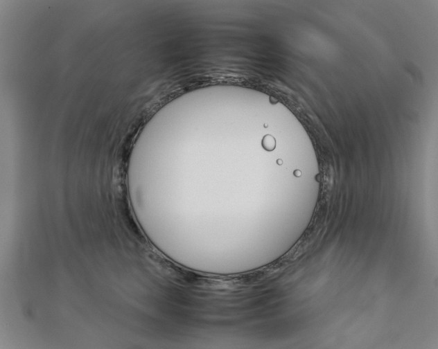 X0000112730663200908201014