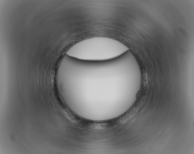 X0000112730664200908201014