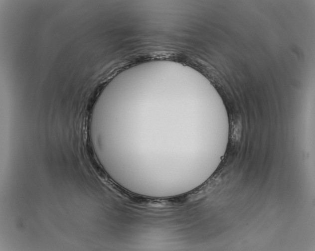 X0000112730666200908201014