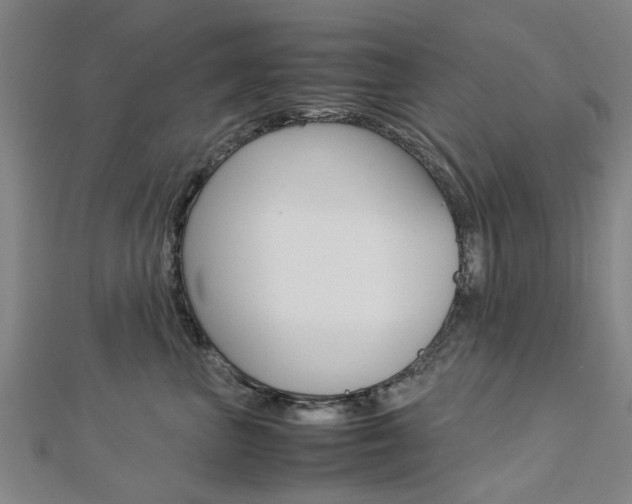 X0000112730667200908201014