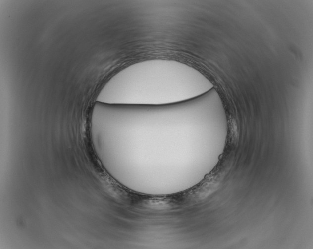 X0000112730668200908201014