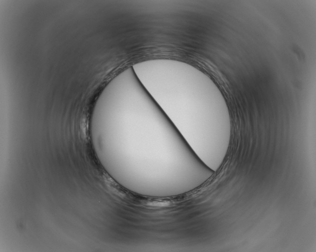 X0000112730669200908201014