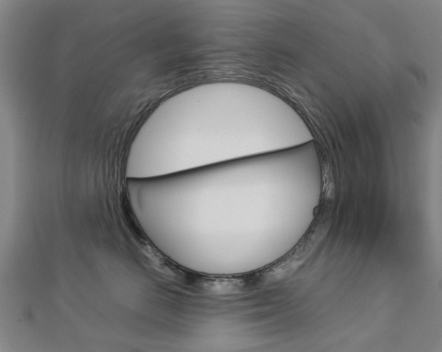 X0000112730670200908201015