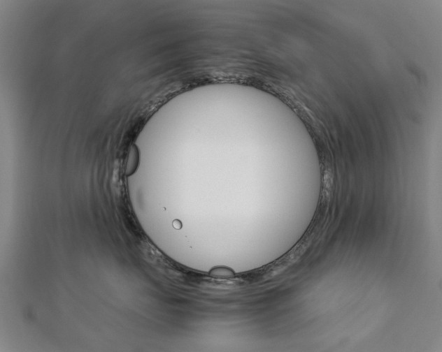 X0000112730671200908201015
