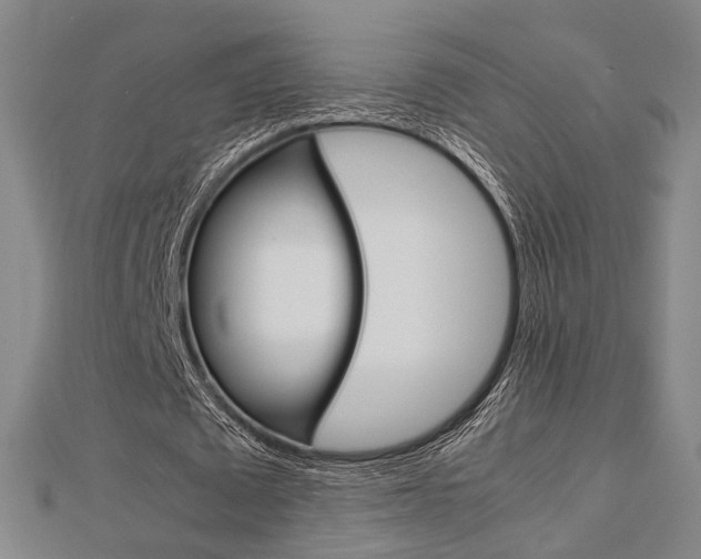 X0000112730673200908201014
