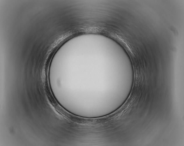 X0000112730674200908201014