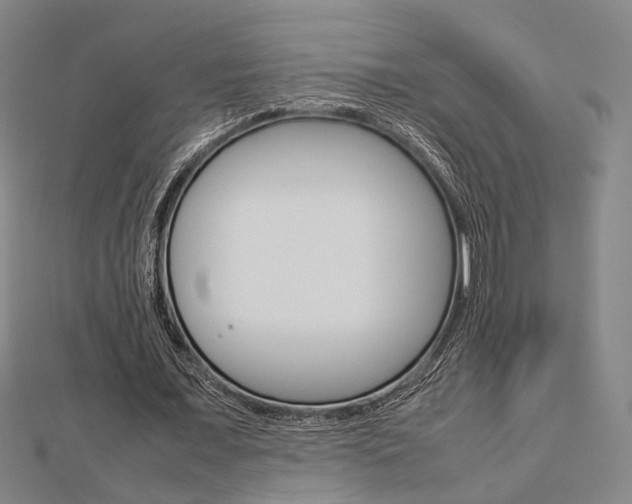 X0000112730675200908201014