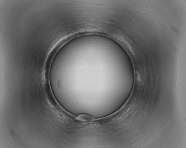 X0000112730676200908201014