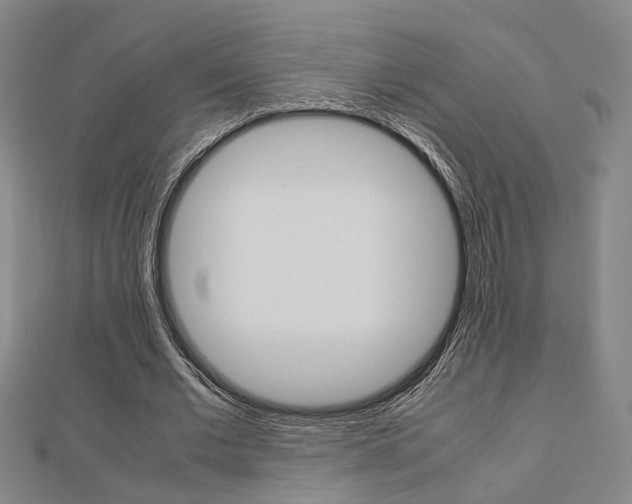 X0000112730677200908201014