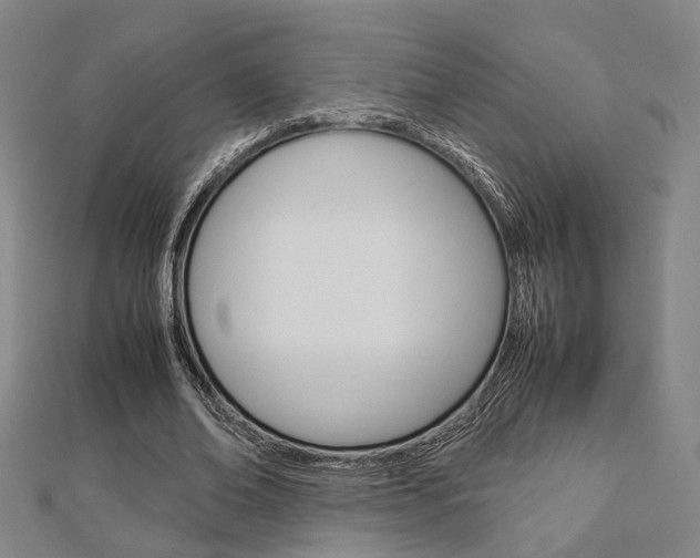 X0000112730678200908201014