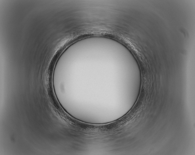 X0000112730679200908201014