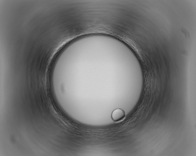 X0000112730680200908201014
