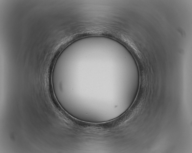 X0000112730681200908201014