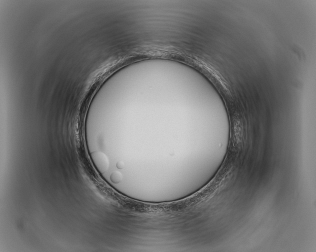 X0000112730682200908201014