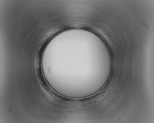 X0000112730683200908201014