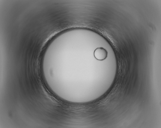 X0000112730684200908201014