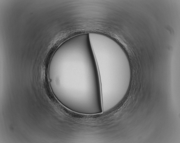 X0000112730685200908201014