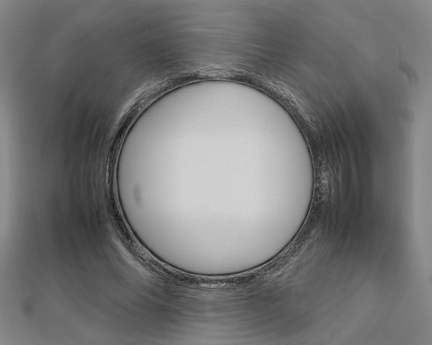 X0000112730686200908201014