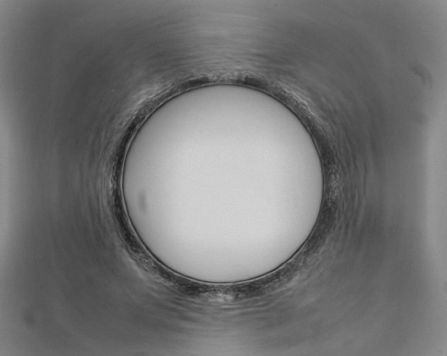 X0000112730687200908201014