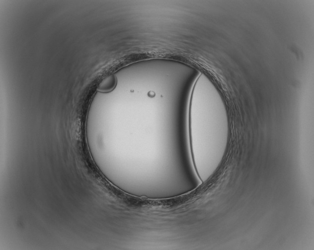 X0000112730689200908201014
