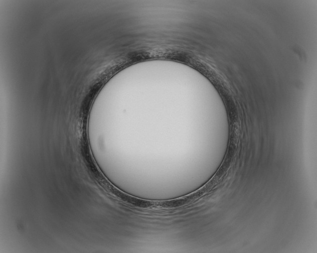 X0000112730691200908201014