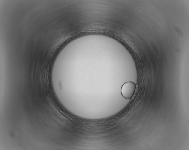 X0000112730692200908201014