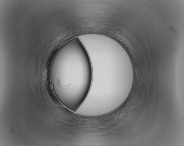 X0000112730693200908201014
