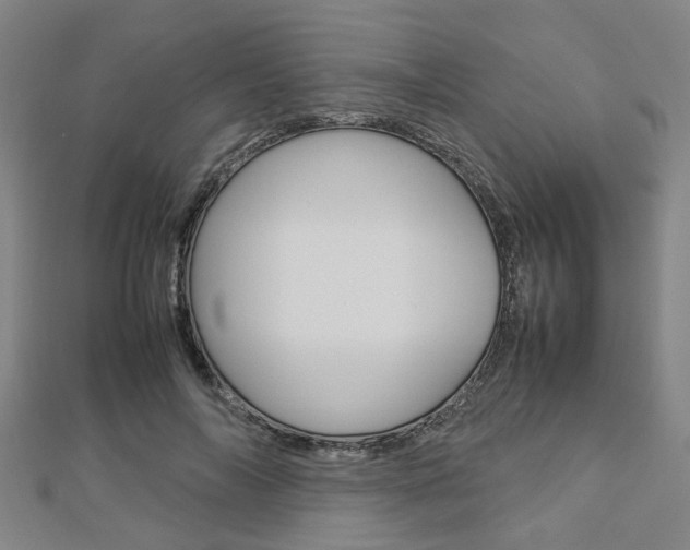 X0000112730694200908201014