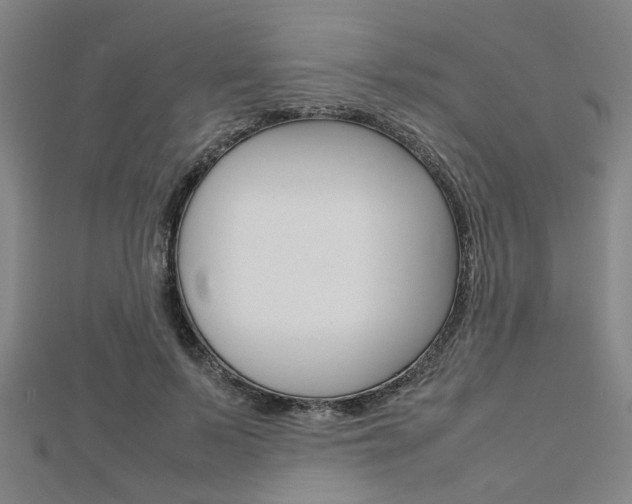 X0000112730695200908201014