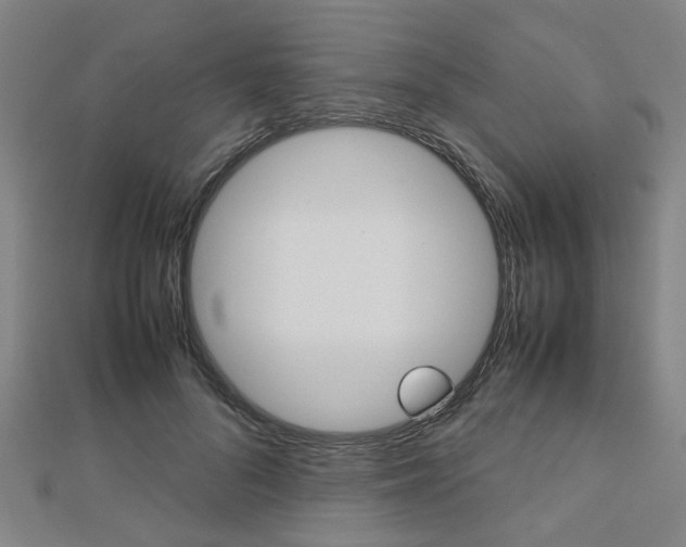 X0000112730696200908201014