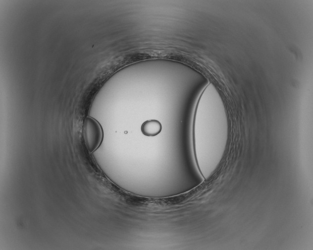 X0000112730697200908201014