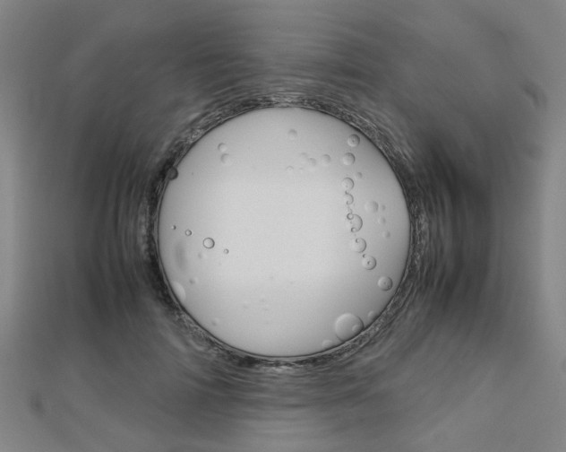 X0000112730698200908201014