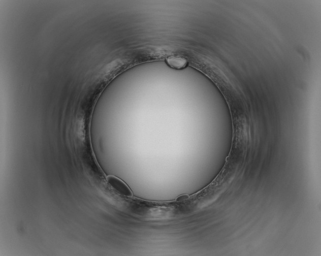 X0000112730700200908201014