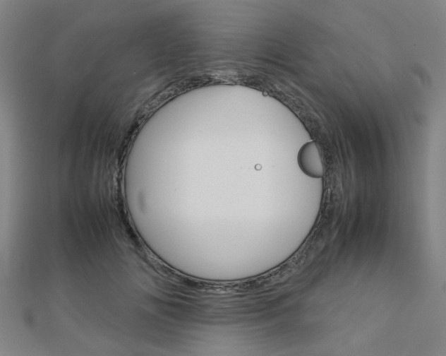 X0000112730702200908201014