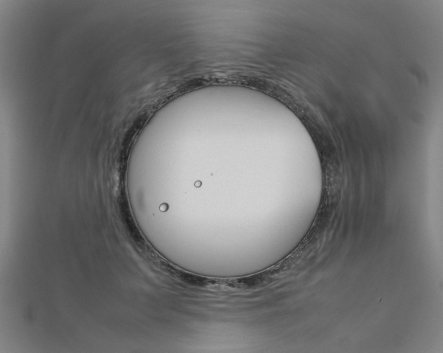 X0000112730703200908201014