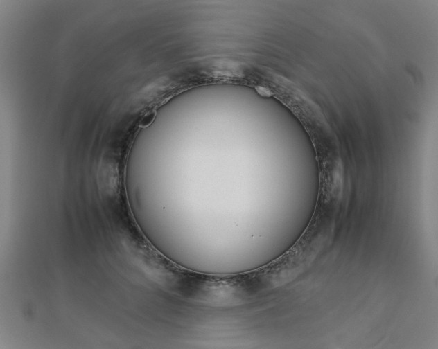 X0000112730704200908201014