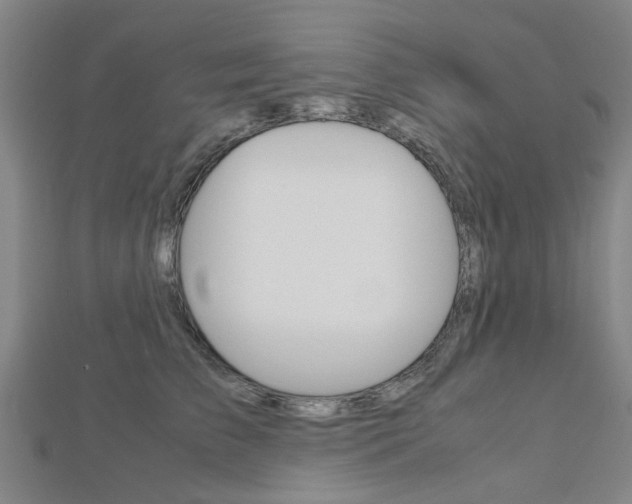 X0000112730709200908201013