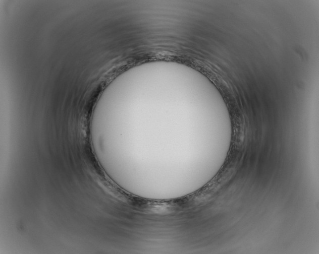 X0000112730710200908201013