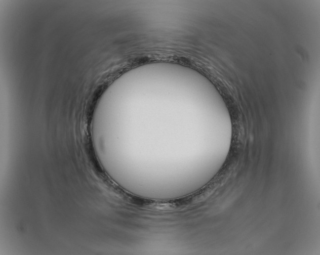 X0000112730711200908201013