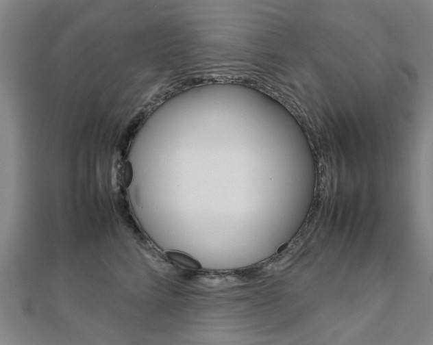 X0000112730712200908201013