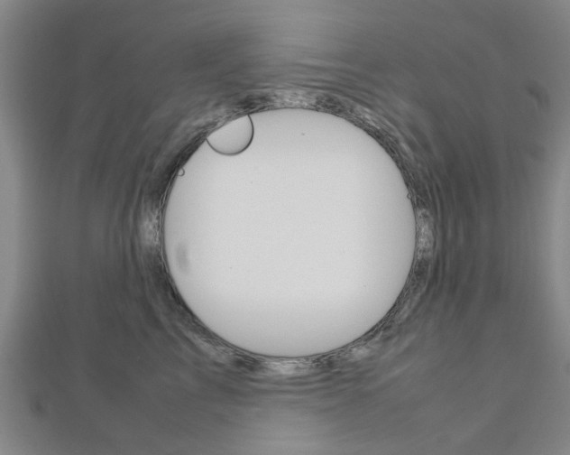 X0000112730713200908201013