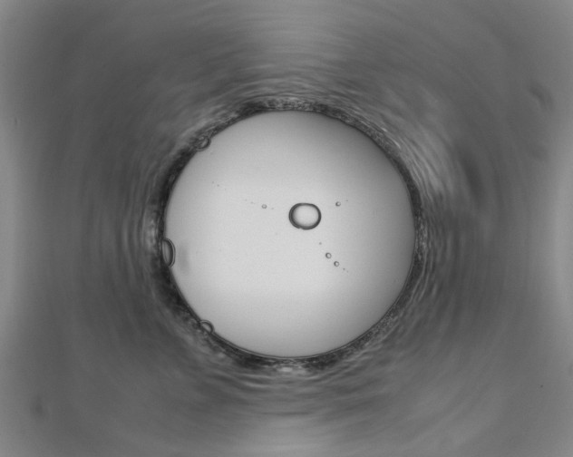 X0000112730715200908201013