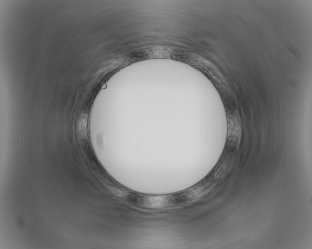 X0000112730717200908201013