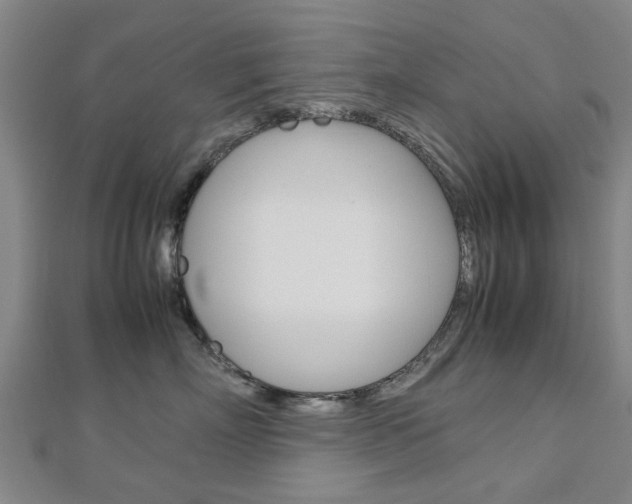 X0000112730718200908201013