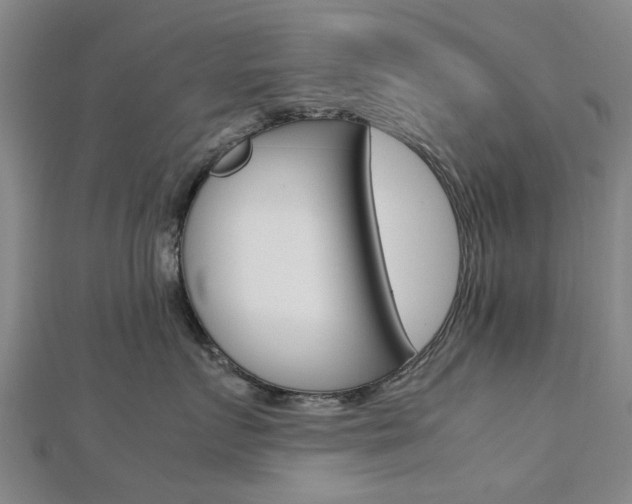X0000112730719200908201013
