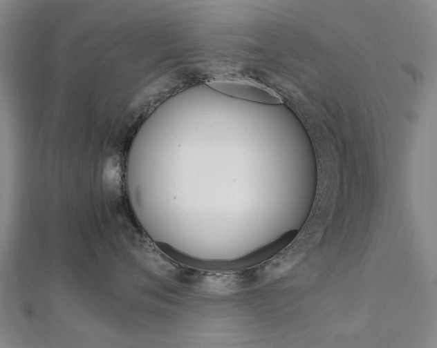 X0000112730720200908201013