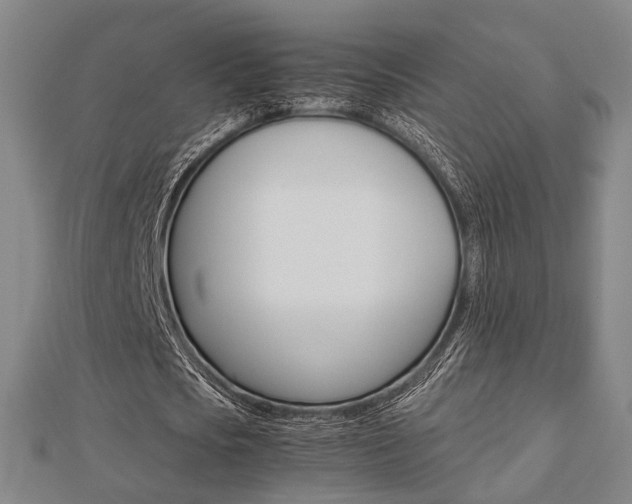 X0000112730721200908201012