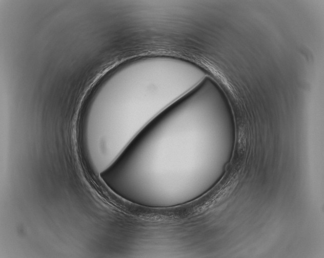 X0000112730722200908201012