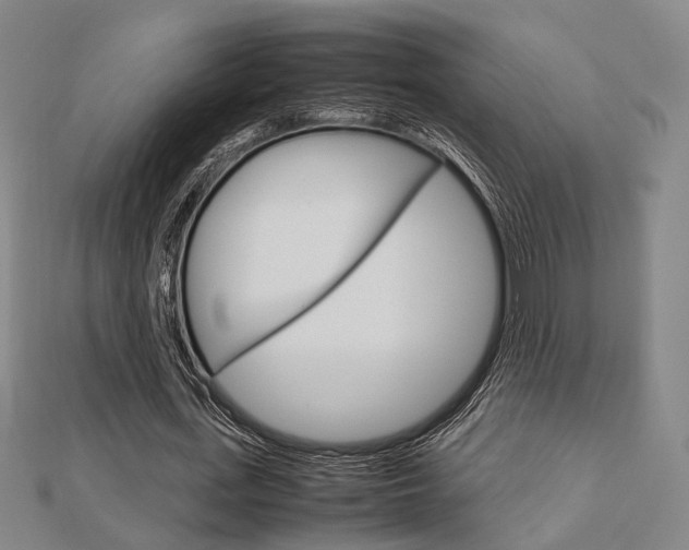 X0000112730723200908201012